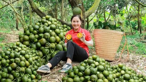 Đạt 8 điểm Toán trở lên mới được đăng ký học bán dẫn