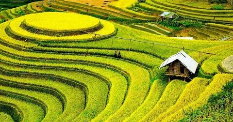 Ngành Quản trị Kinh doanh trường Đại học CMC: Nơi đào tạo 'doanh nhân số'